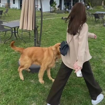我亲爱的怪物伙伴